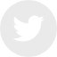 twitter logo button